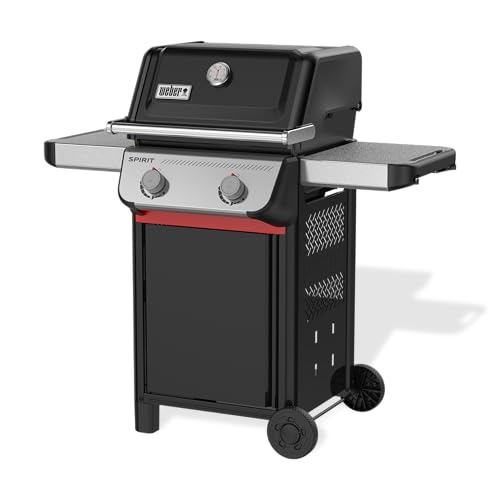 Weber Barbecue à gaz 2 brûleurs