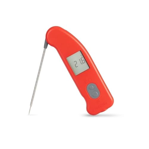 Thermomètre à sonde de précision